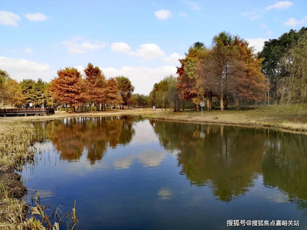 售楼中心处欢迎您-楼盘详情首页网站-楼盘详情-欢迎您爱游戏ayx张江金茂府(售楼处)首页网站张江金茂府(图18)