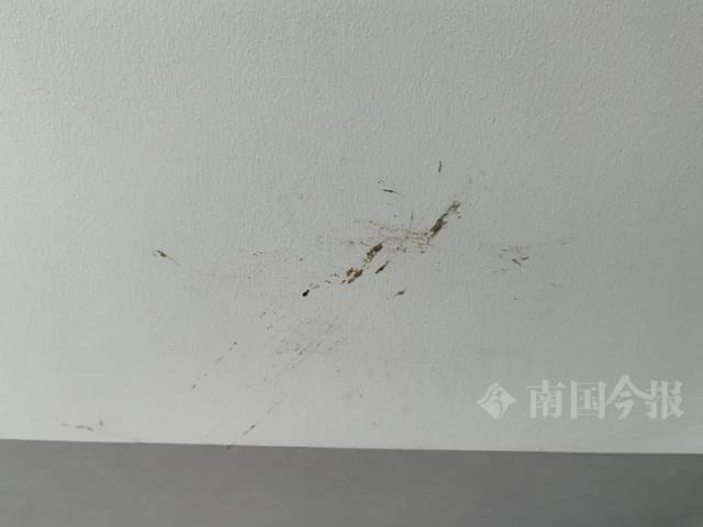 ！业主崩溃：全屋都是无法接受爱游戏app婚房被粪水浸泡(图5)