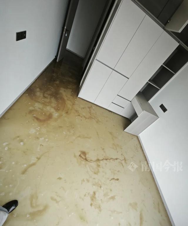 ！业主崩溃：全屋都是无法接受爱游戏app婚房被粪水浸泡(图4)