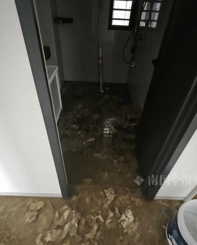 ！业主崩溃：全屋都是无法接受爱游戏app婚房被粪水浸泡(图3)