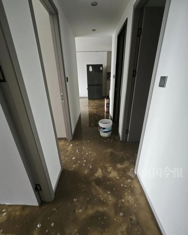 ！业主崩溃：全屋都是无法接受爱游戏app婚房被粪水浸泡(图9)